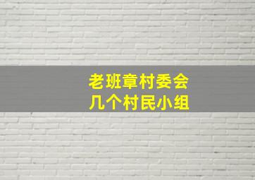 老班章村委会 几个村民小组